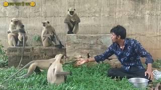 One Guy 10 Funny Voices ( INDIAN Actors Like Hrithik,Nana,SRK ) Love Animals - Adarsh