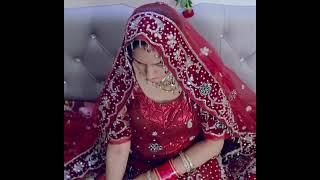 Arrange marriage vs love marriage funny video