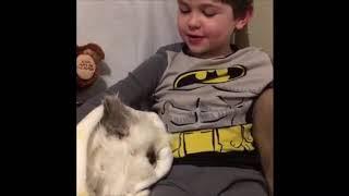 Night Time Bunny Jokes With Snowy (Awesome With Rex)