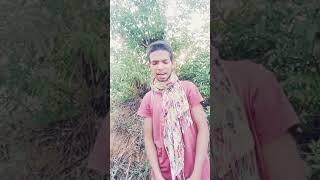 CG RAP SONG ll CG LOVE SONG ll 36GADHIYA FUNNY RAP SONG ll KL RAJA 20K8