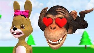 Funny Monkey fell in love Bunny
