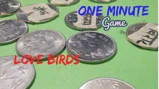 Love Birds | One Minute Coins Game | Fun game | Super ideas Ladies Kitty game by Mysterious Crafts