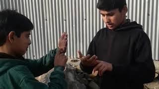 Pubg addiction in Kashmir funny video by kashmiri stars