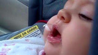 Baby Makes Cute Everything ???? Funny Cute Baby Videos You Must Love
