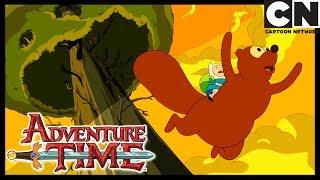 Adventure Time | Up a Tree | Cartoon Network