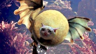 MONSTER HUNTER BUGS ULTIMATE | MHW FUNNY MOMENTS (WINS & FAILS) #50 | NOSKILLZ