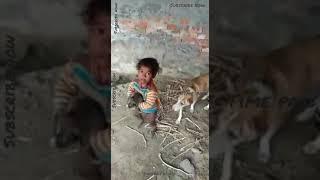 Baby's love | baby with puppy | Funny video's | dog with baby | puppy's video | baby viral