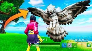 *NEW* BIRDS IN FORTNITE?!! - Fortnite Funny WTF Fails and Daily Best Moments Ep.1154